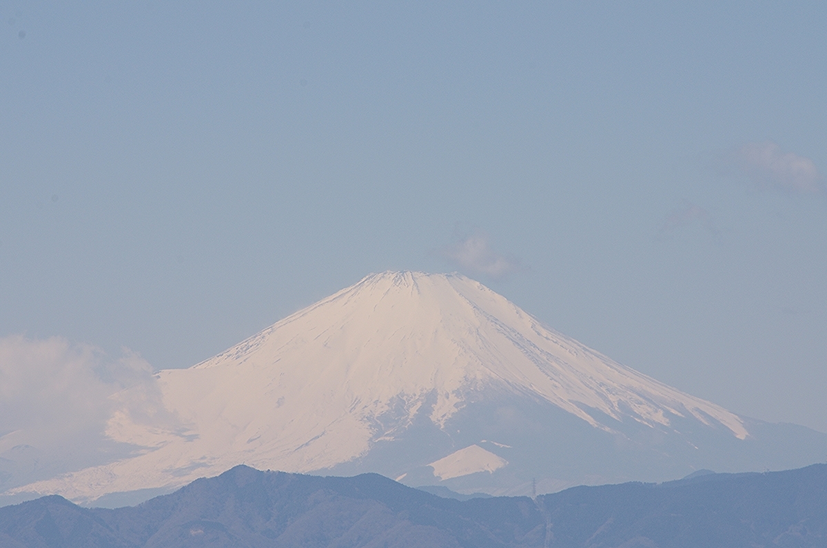 f:id:tomy2291:20190324131216j:plain f:id:tomy2291:20190324131216j:plain