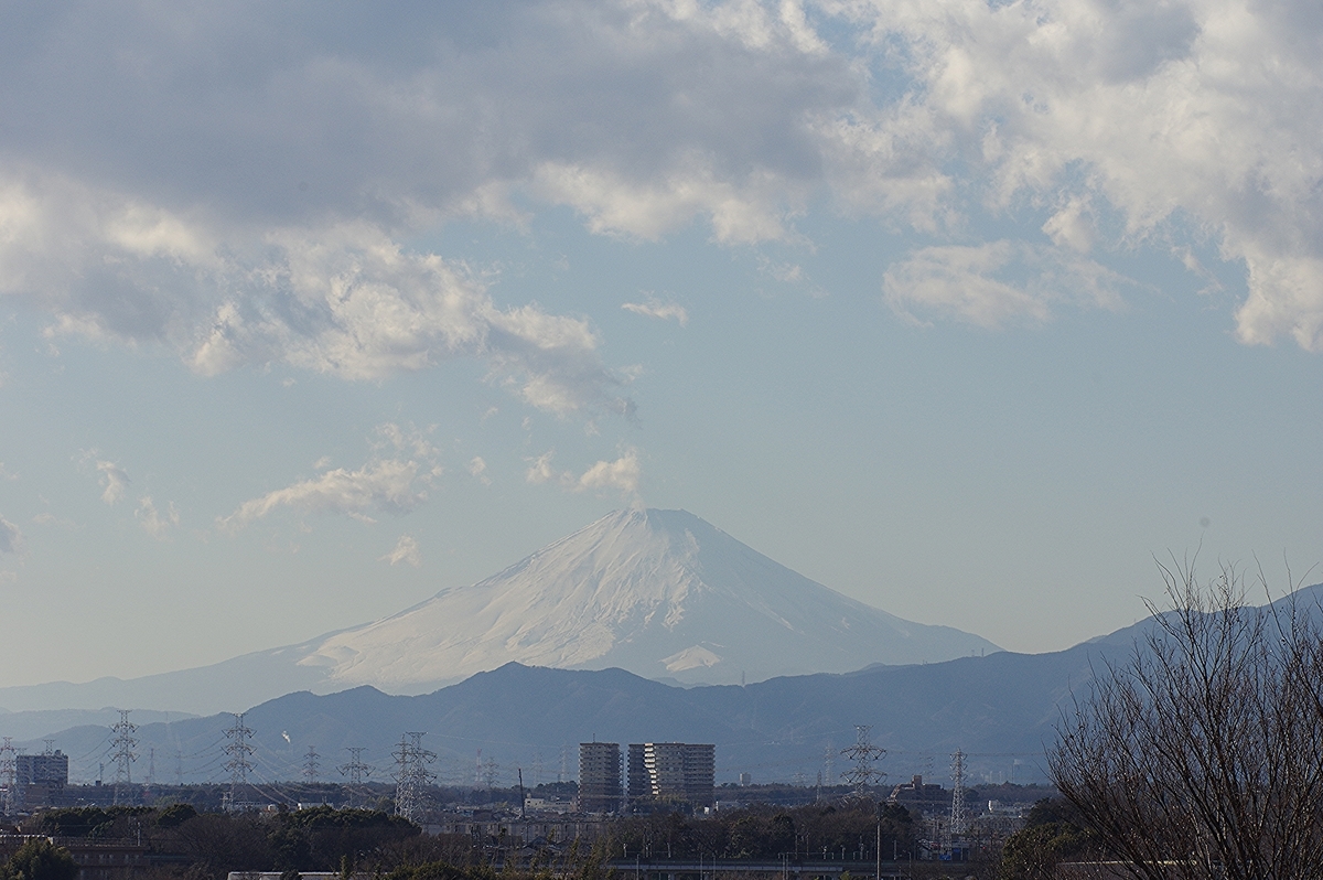 f:id:tomy2291:20220118230731j:plain