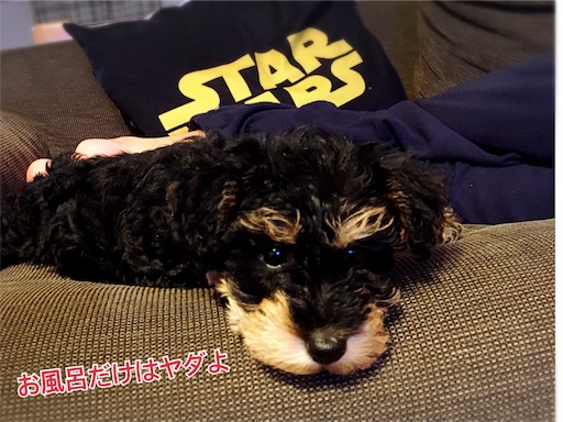 f:id:tomypapa:20170327192942j:image