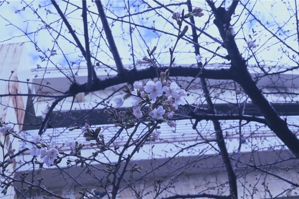 f:id:tomyzk:20260426222150j:image