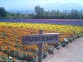 20080812102202