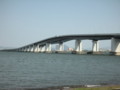 20100429151104