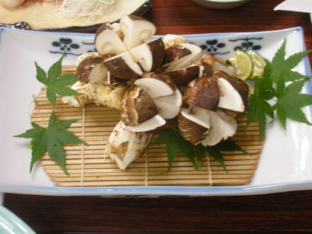 f:id:tomzt:20101016181222j:image