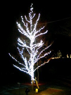 f:id:tomzt:20101212172250j:image