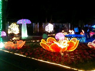 f:id:tomzt:20101212175017j:image