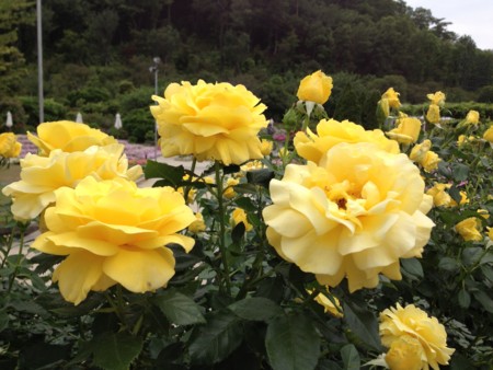 f:id:tomzt:20130601124154j:image