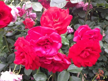 f:id:tomzt:20130601125125j:image