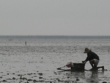 f:id:tomzt:20131103154341j:image