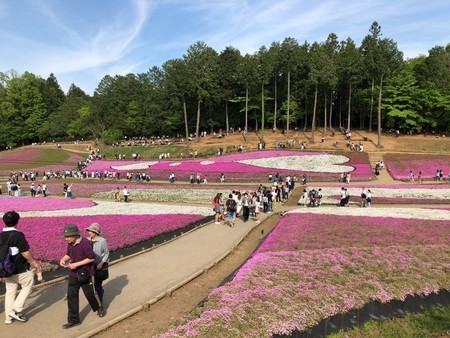 f:id:tomzt:20190505151725j:plain f:id:tomzt:20190505151725j:plain