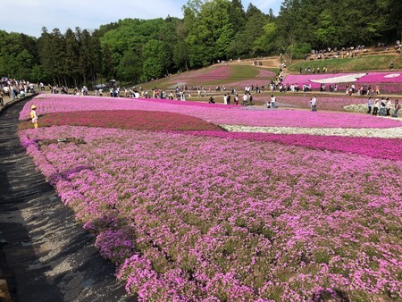 f:id:tomzt:20190505152010j:plain f:id:tomzt:20190505152010j:plain