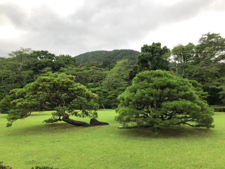 f:id:tomzt:20190705143936j:plain f:id:tomzt:20190705143936j:plain