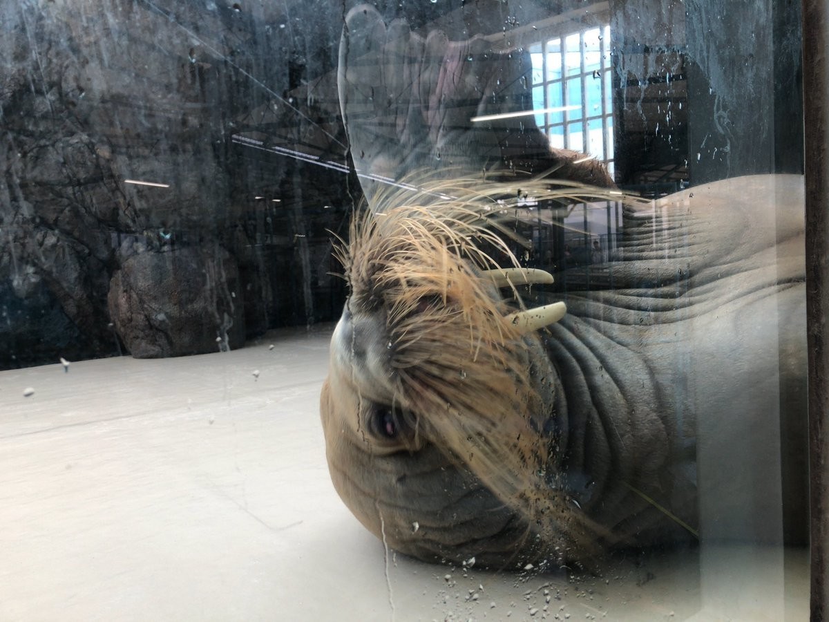 f:id:tomzt:20190713160330j:plain
