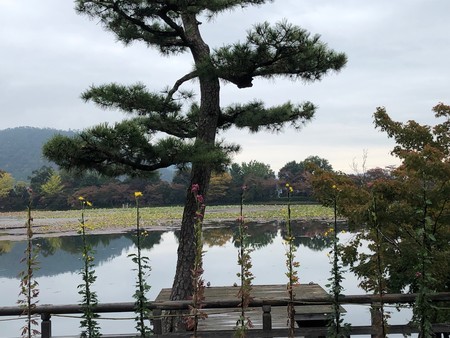 f:id:tomzt:20201107130141j:plain f:id:tomzt:20201107130141j:plain