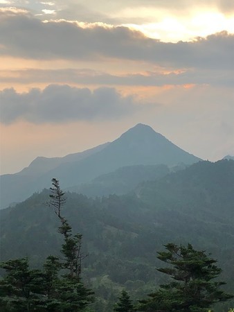 f:id:tomzt:20210725182634j:plain