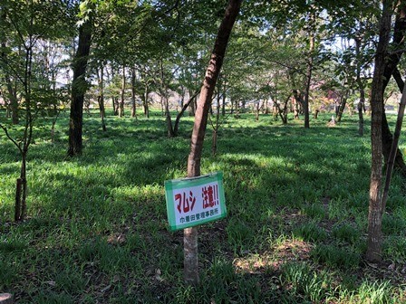 f:id:tomzt:20211018132700j:plain