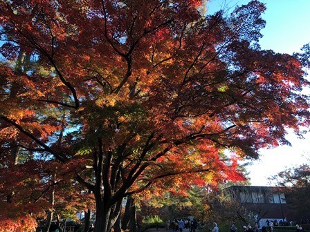 f:id:tomzt:20211114152702j:plain