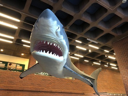 f:id:tomzt:20211114152953j:plain