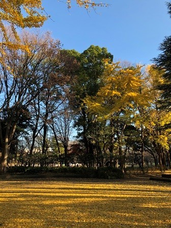 f:id:tomzt:20211209144936j:plain