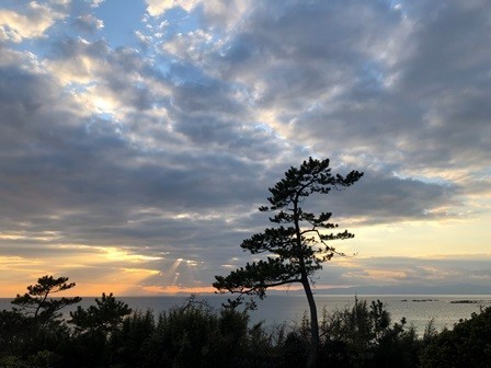 f:id:tomzt:20211223155709j:plain