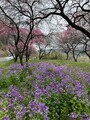 20260410092500