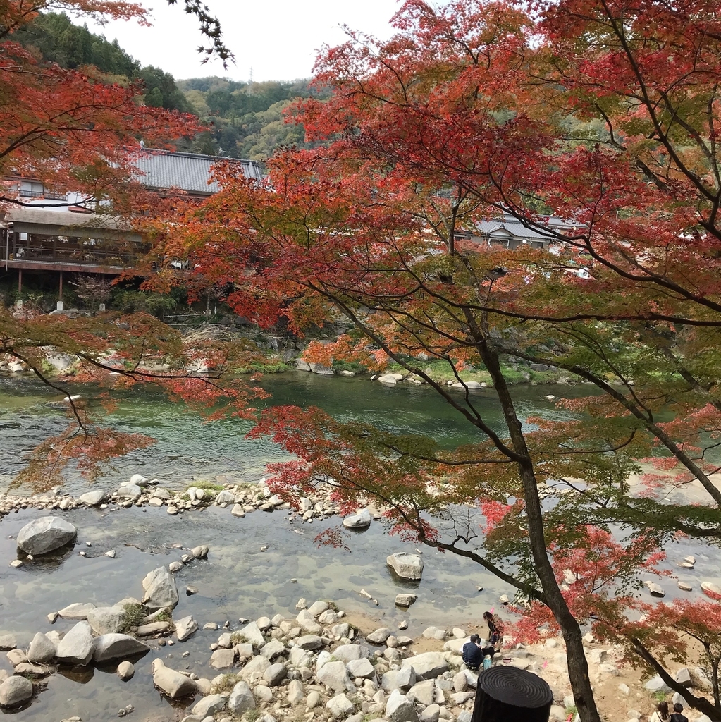 f:id:ton-tann:20181205172547j:plain