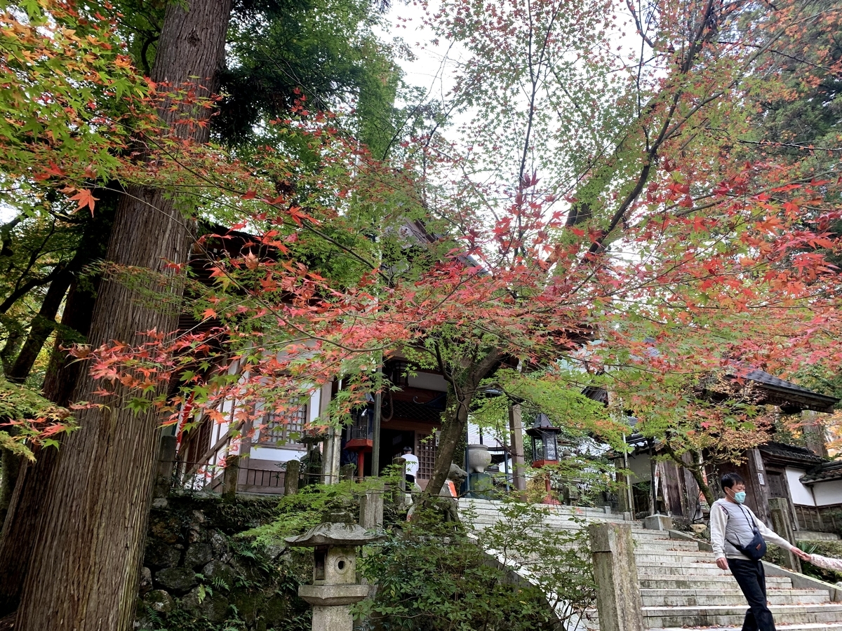 f:id:tonabou:20211104203611j:plain