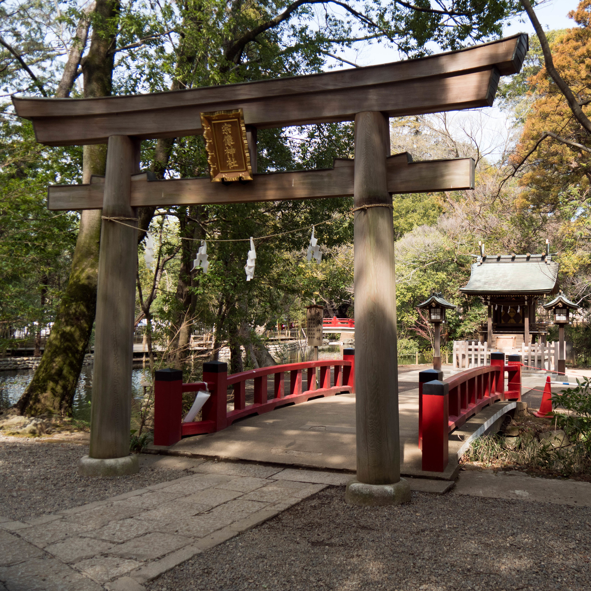 f:id:tonaka1:20210312074825j:plain