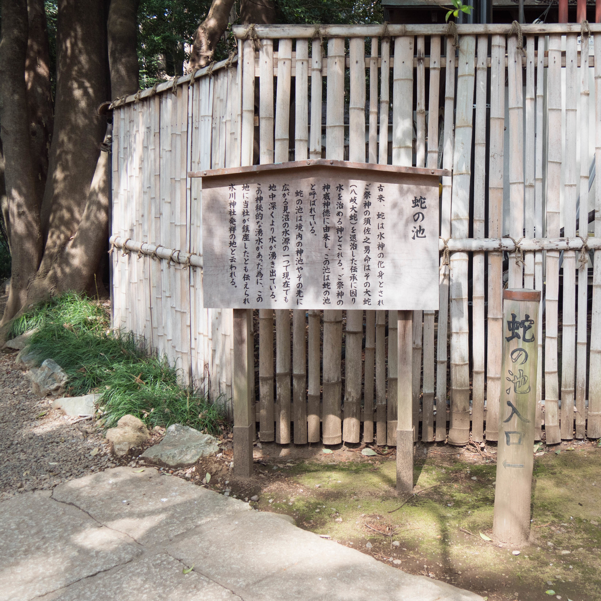 f:id:tonaka1:20210315131247j:plain