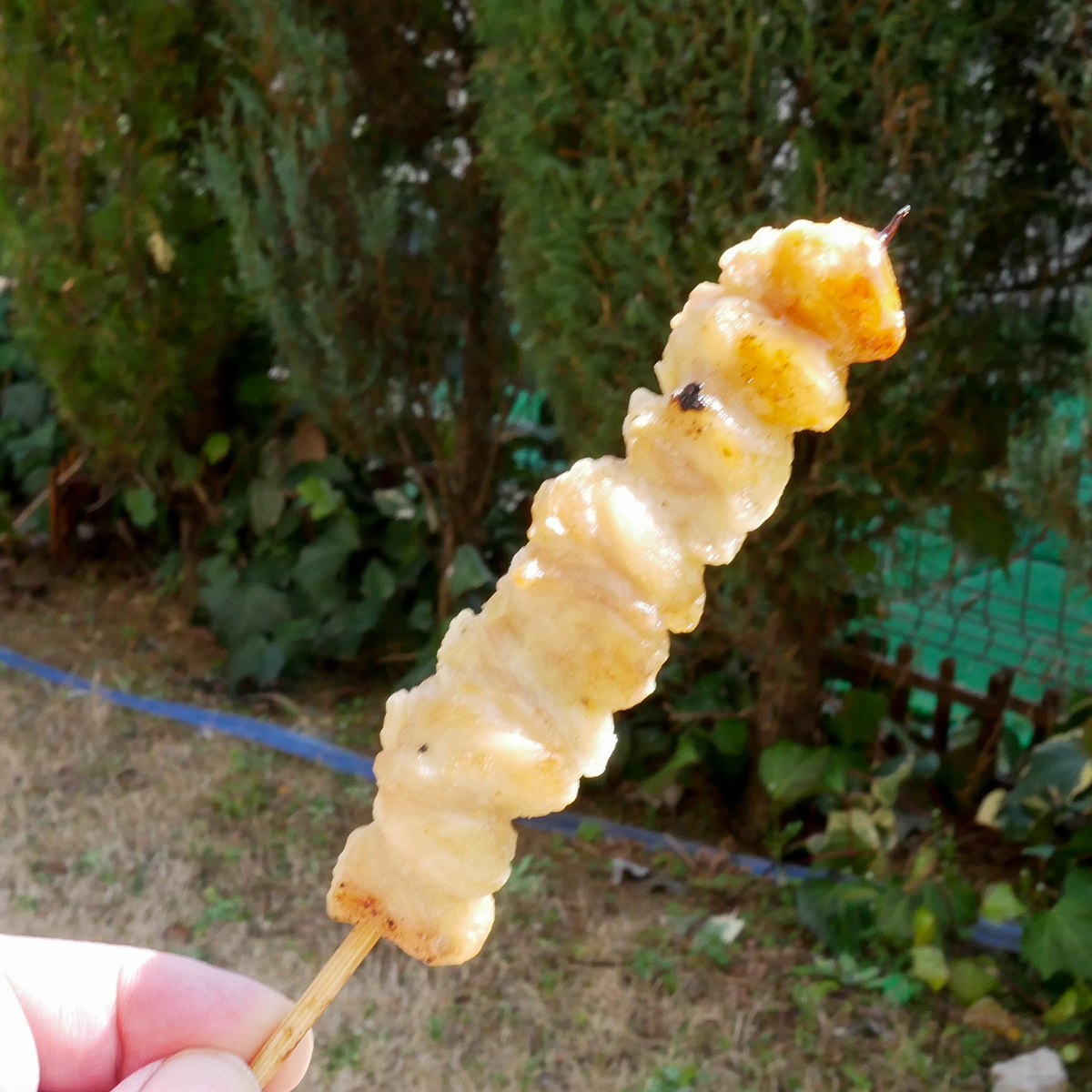 f:id:tonaka1:20210321143116j:plain