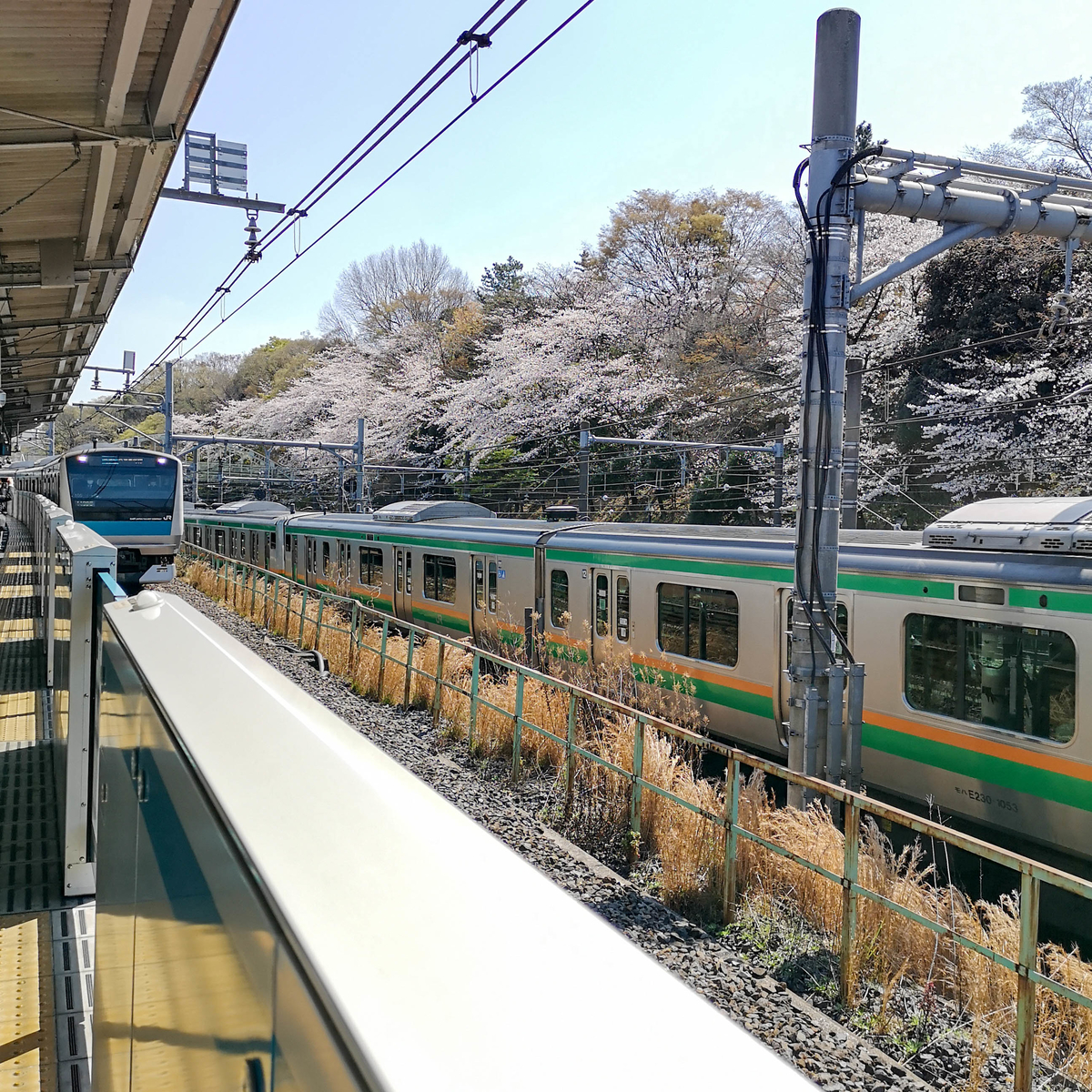 f:id:tonaka1:20210329090339j:plain