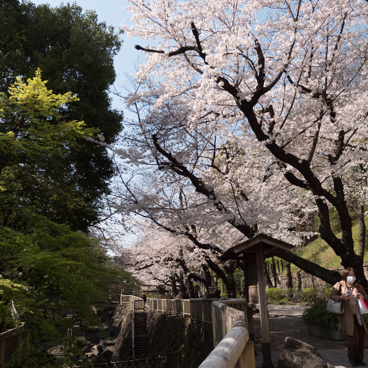 f:id:tonaka1:20210329161925j:plain
