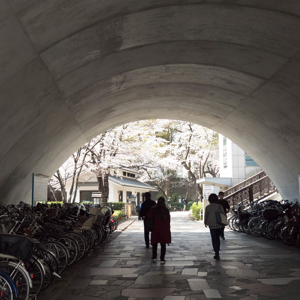 f:id:tonaka1:20210329165341j:plain