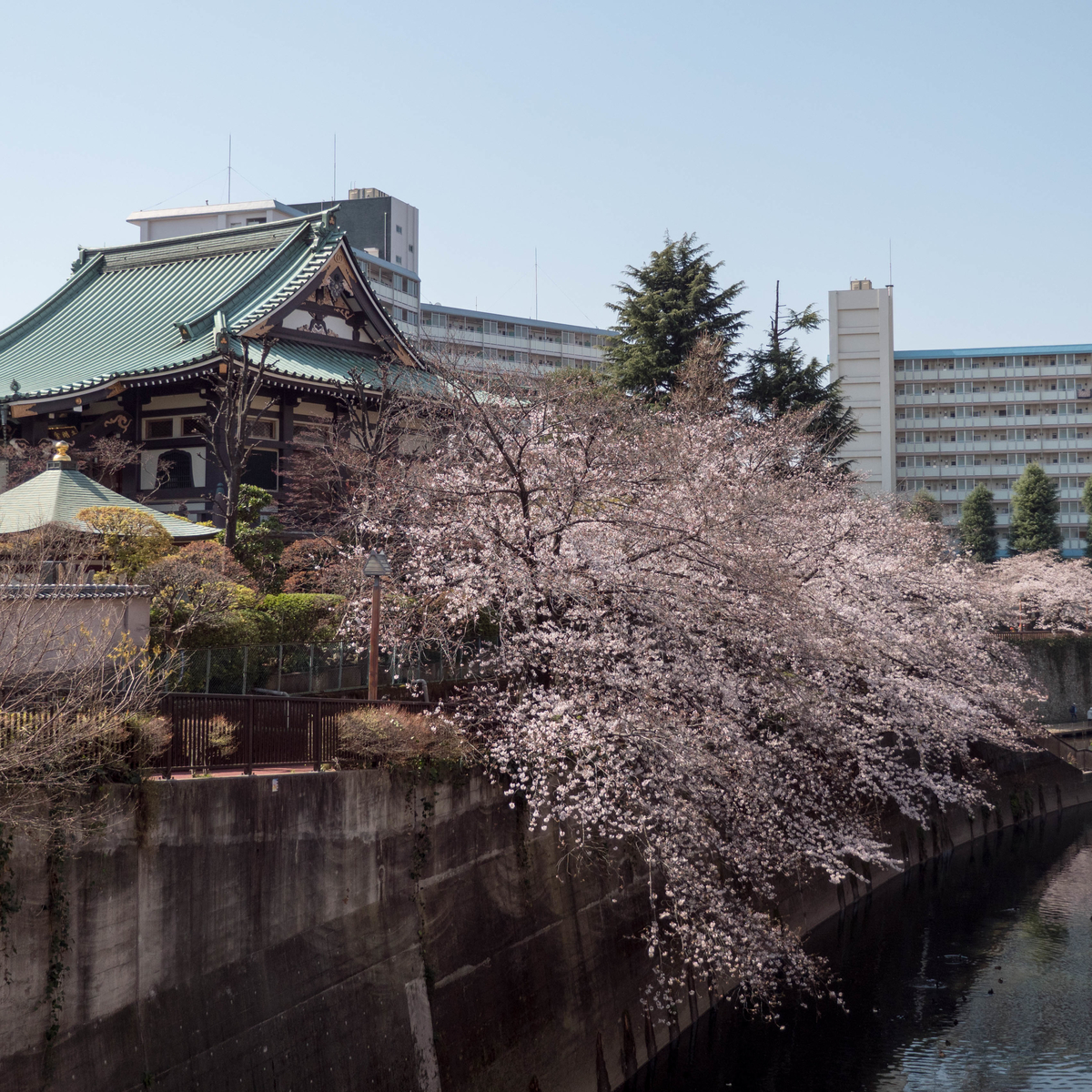 f:id:tonaka1:20210329165916j:plain