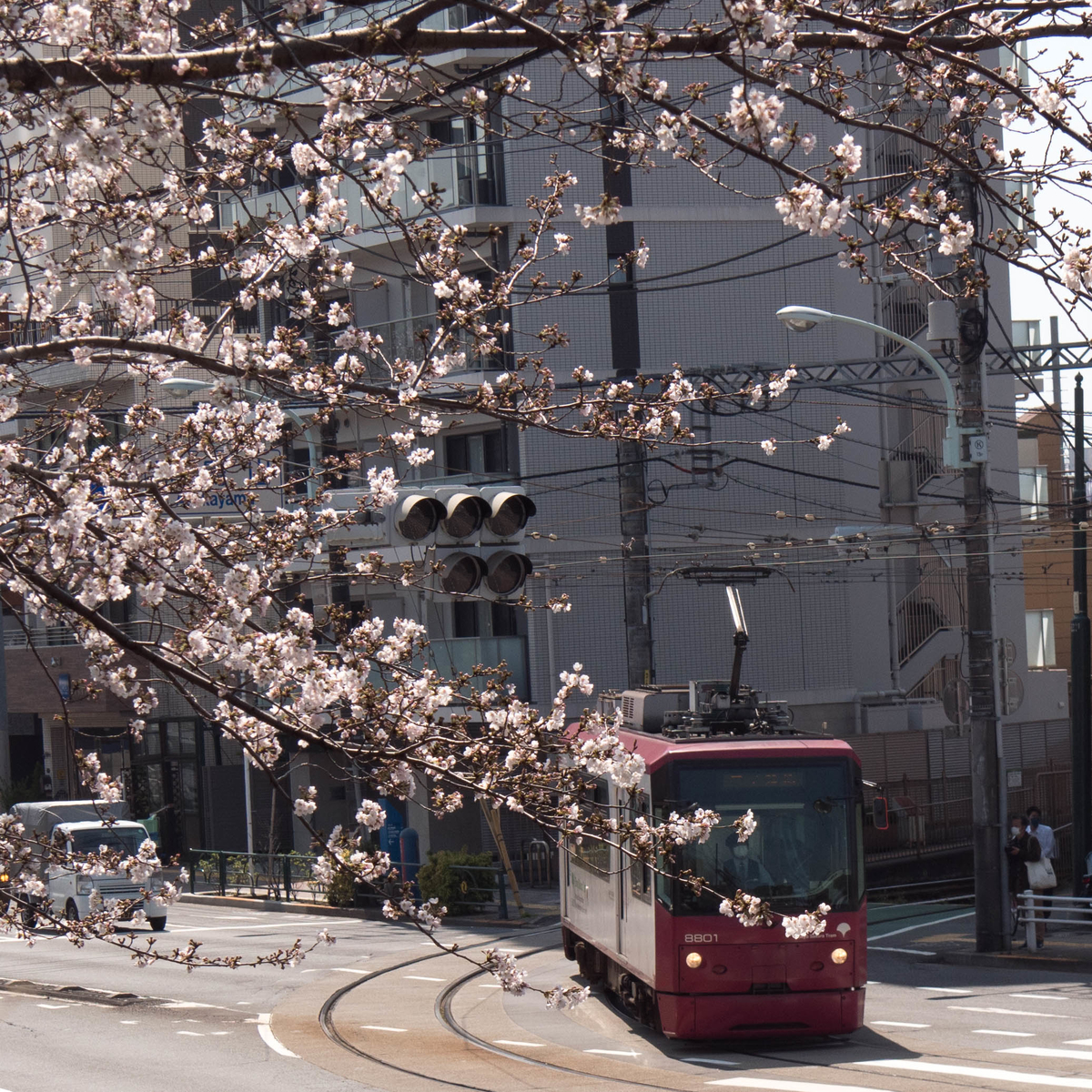 f:id:tonaka1:20210330080226j:plain