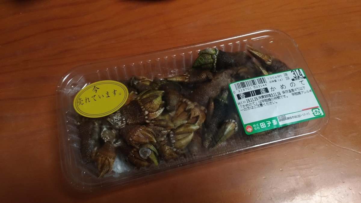 食レポ かめのて Tonan S Blog あるいは真空でいっぱいの海