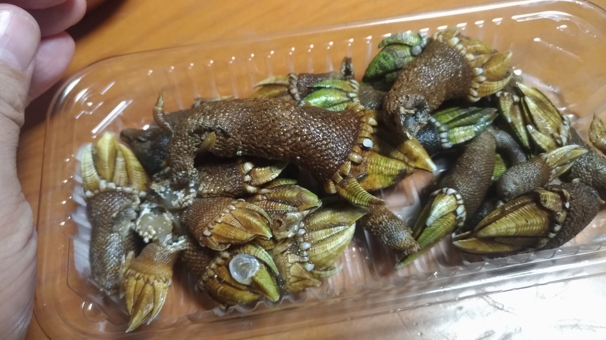 食レポ かめのて Tonan S Blog あるいは真空でいっぱいの海