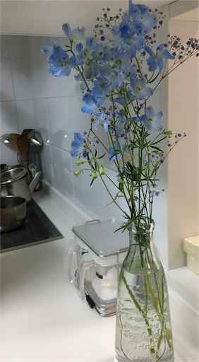 f:id:tonarino_tororo_desu:20180728162951j:image