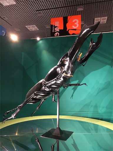 f:id:tonarino_tororo_desu:20180816130704j:image f:id:tonarino_tororo_desu:20180816130704j:image