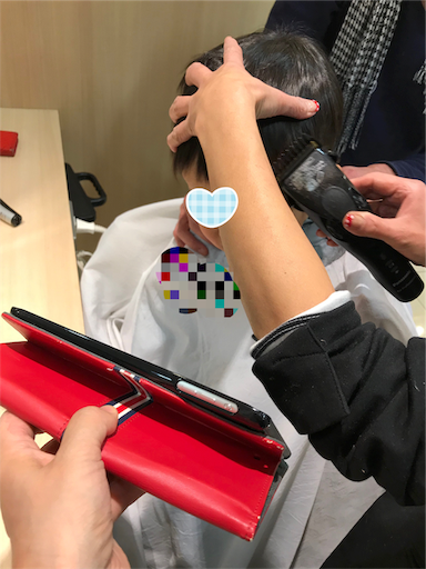 f:id:tonarino_tororo_desu:20190125132238p:image