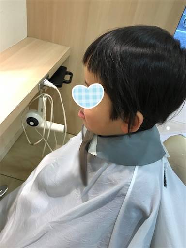 f:id:tonarino_tororo_desu:20190125133358j:image