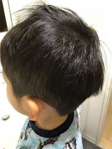 f:id:tonarino_tororo_desu:20190125133434j:image