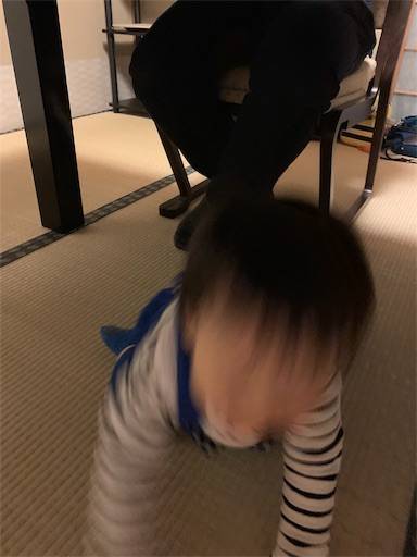 f:id:tonarino_tororo_desu:20190226141236j:image