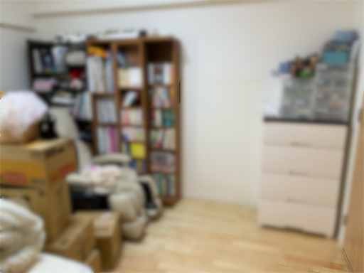 f:id:tonarino_tororo_desu:20190501161758p:image