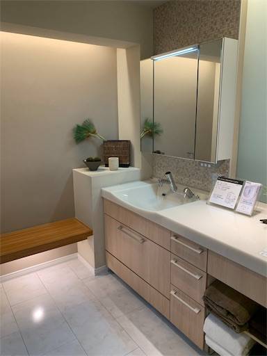 f:id:tonarino_tororo_desu:20200324010822j:image f:id:tonarino_tororo_desu:20200324010822j:image