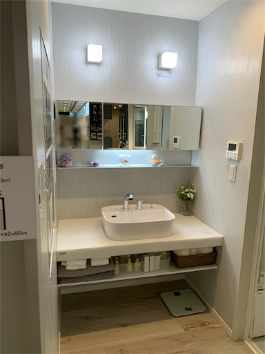 f:id:tonarino_tororo_desu:20200324012349p:image f:id:tonarino_tororo_desu:20200324012349p:image