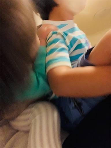 f:id:tonarino_tororo_desu:20200407064634j:image f:id:tonarino_tororo_desu:20200407064634j:image