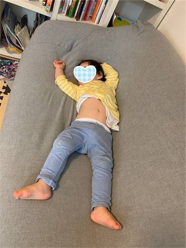 f:id:tonarino_tororo_desu:20200410072142j:image