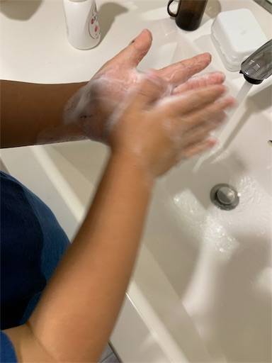 f:id:tonarino_tororo_desu:20200410072147j:image