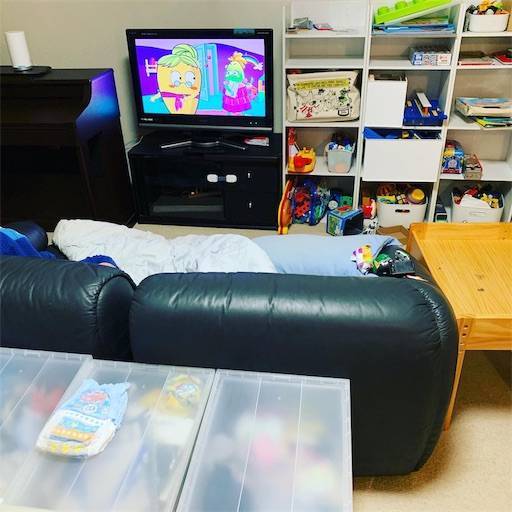 f:id:tonarino_tororo_desu:20200614071906j:image