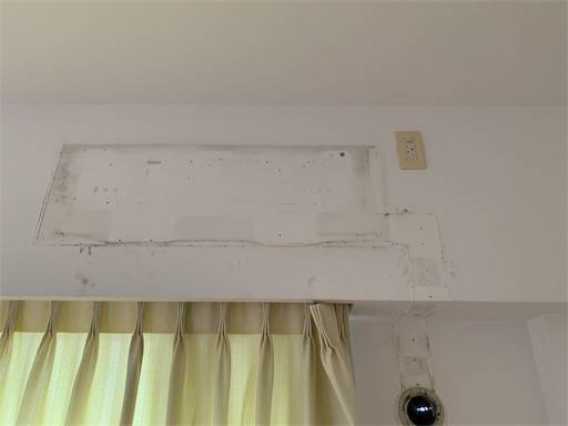 f:id:tonarino_tororo_desu:20200614071920j:image